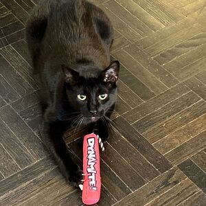 Meet your Posher, Virginia